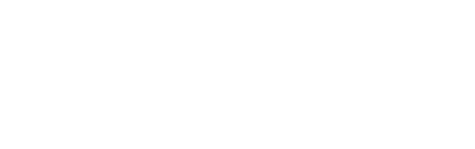 EzzyCount — Accounting Software